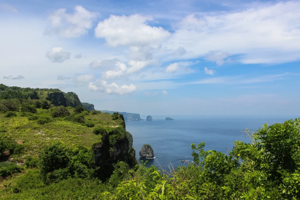 Nusa Penida Cliff - On West