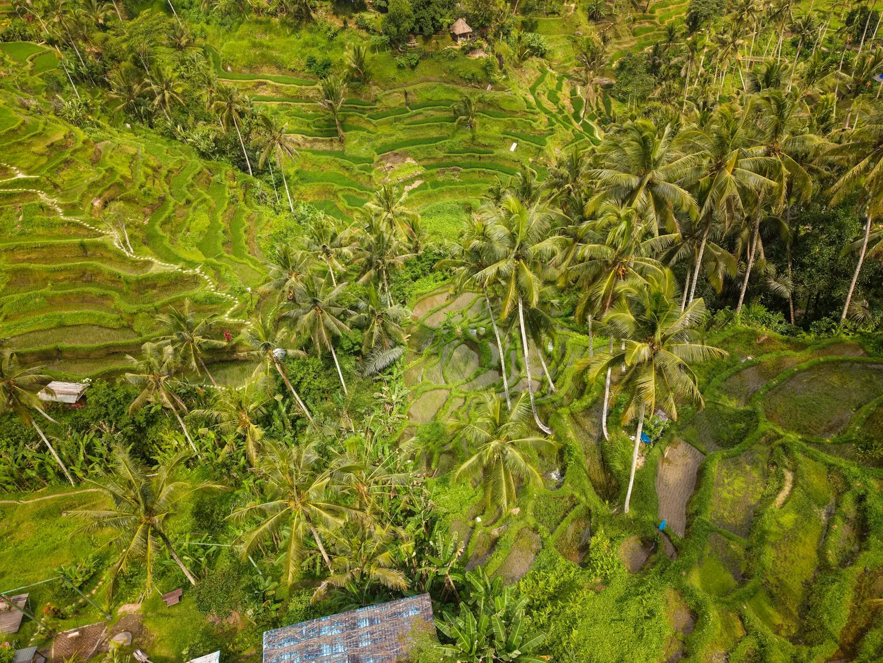 Traditional Balinese cuisine cooking class in Ubud Bali Indonesia