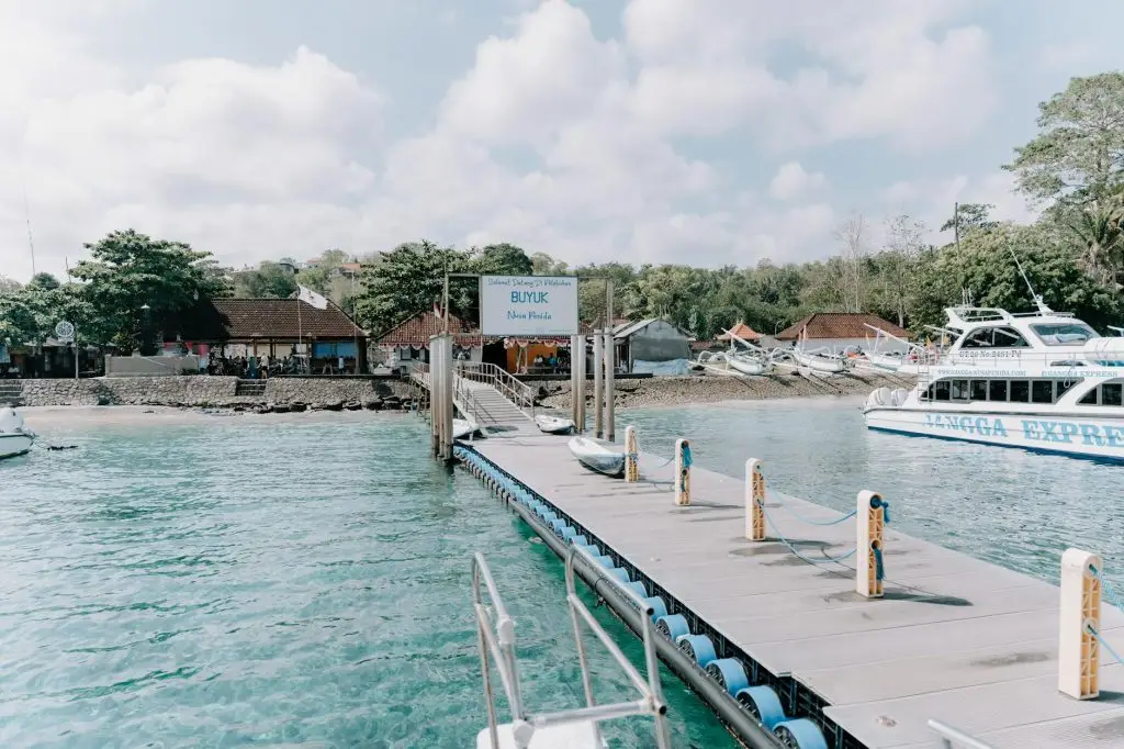 Nusa Lembongan island day trip from Bali showcases stunning beaches and marine life.