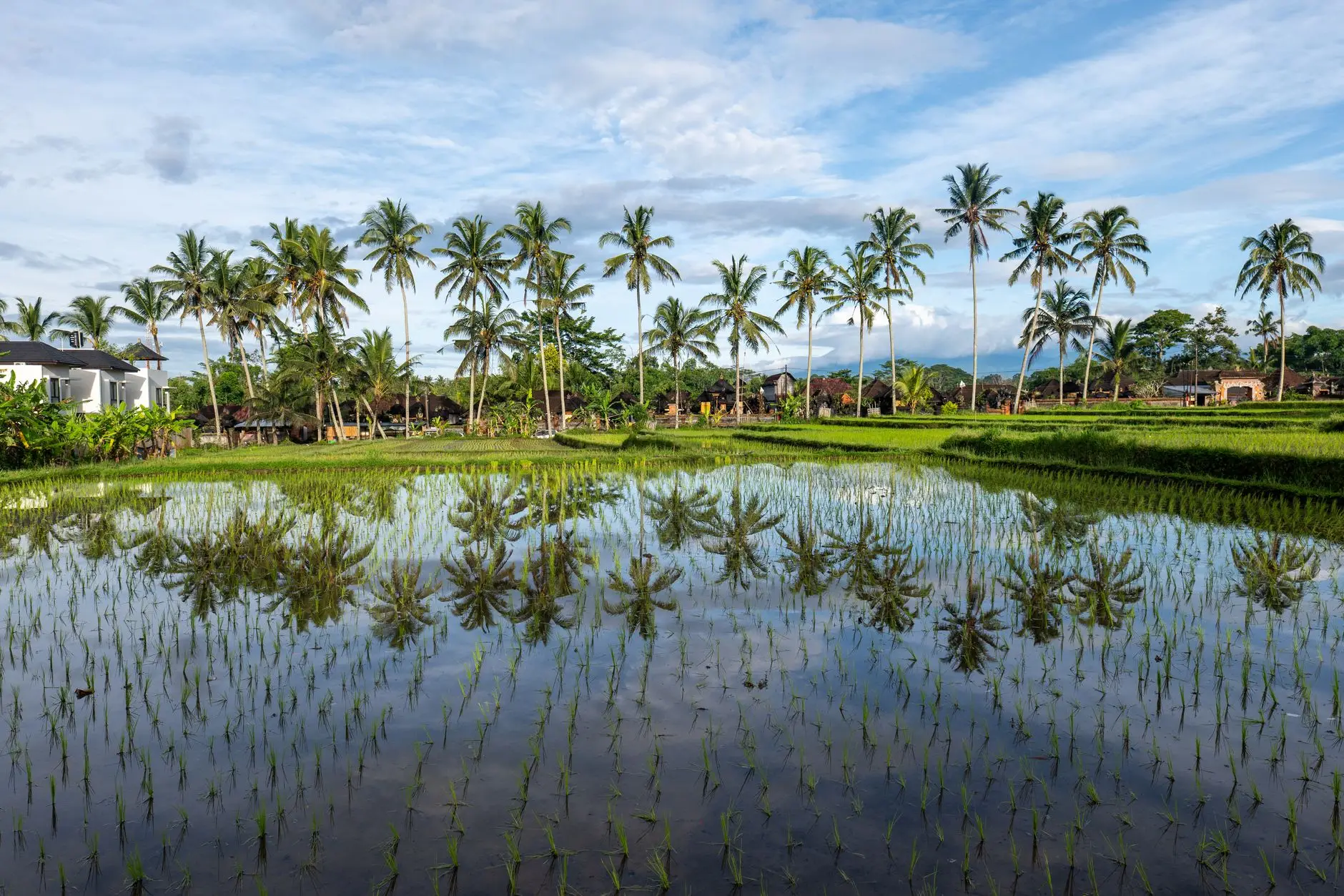 Ubud Bali white water rafting on Ayung River